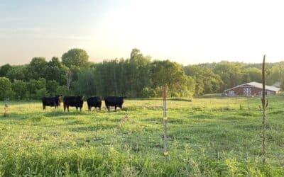 Autumn Office Update