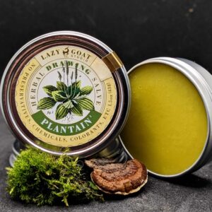 Plantain Herbal Drawing Salve